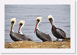 001w (18e) * 2302 x 1549 * (328KB)